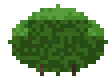 Large Forest Bush