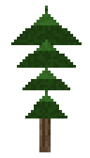 Forest Pine Tree
