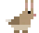 Forest Rabbit