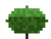Small Forest Bush