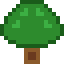 Green Oak Tree