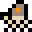 Hermit Crab