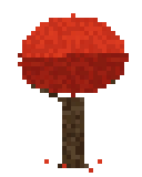 Árbol arce rojo