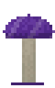 Champignon Gigant Violet