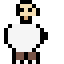 Caçador Pirata