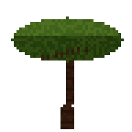Árbol de acacia