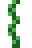 Alga marinha