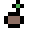 Seed Icon
