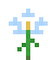 Flor del Cielo