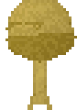 Árbol del Cielo