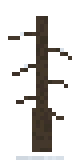 Pin mort