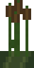 Cañas