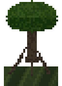 Árvore de mangue