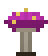 Toxic Mushroom