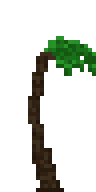 Palmera