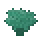 Formación de coral verde