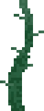 Giant Seaweed