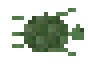 Sea Turtle