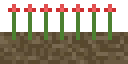 Flower Bed