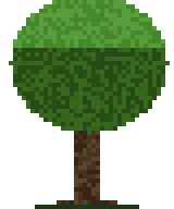 Oak Tree