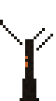 Charred Tree