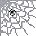 Spider Web